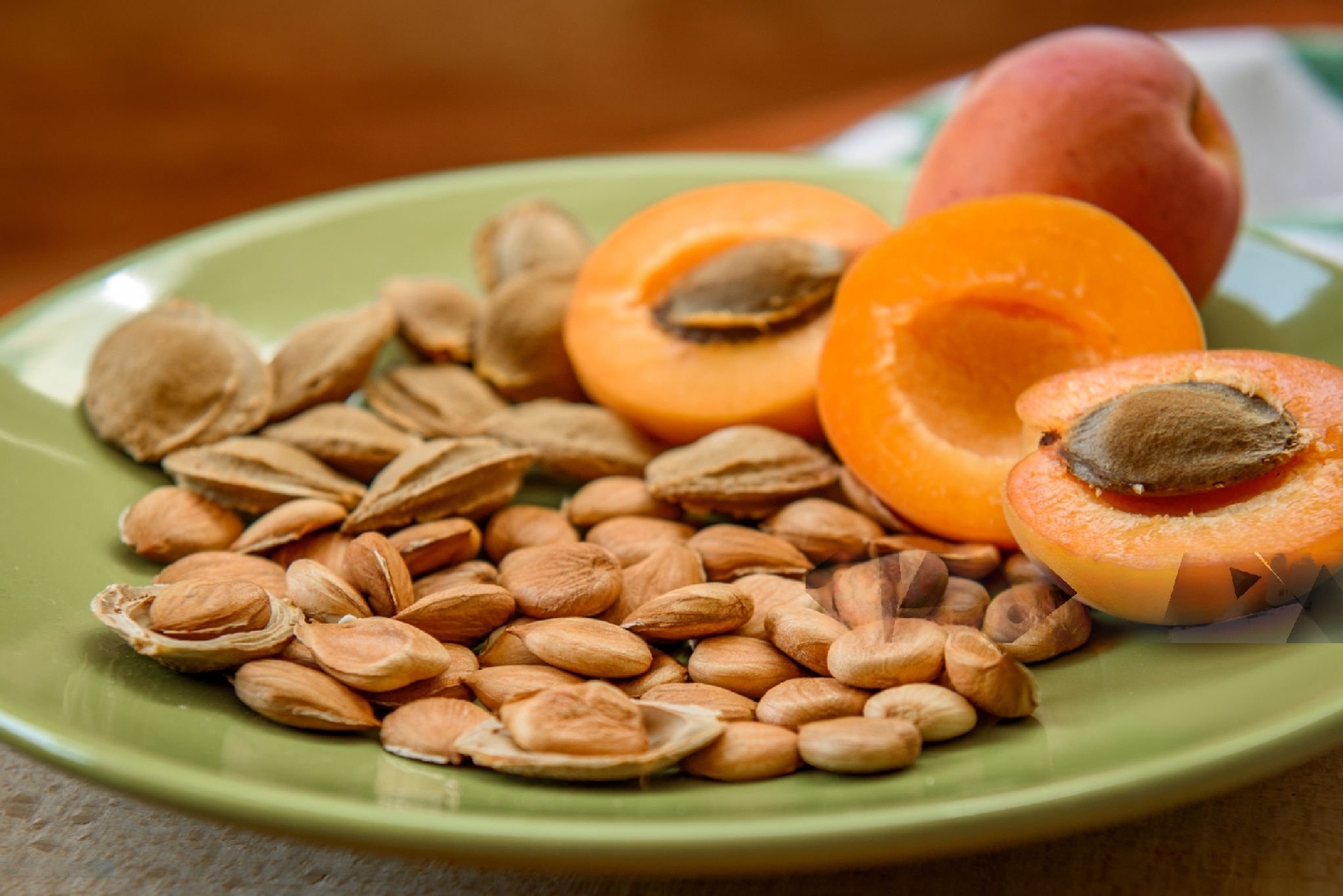 Apricot Seed Solvetra